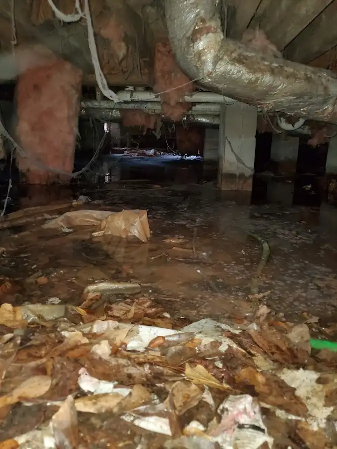 Crawl space flood assessment for Commercial Water Damage Restoration in Brock Hall