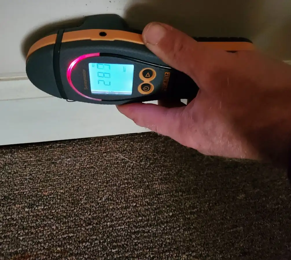 Moisture detection at baseboard during Sewage Cleanup & Sanitation in Brock Hall